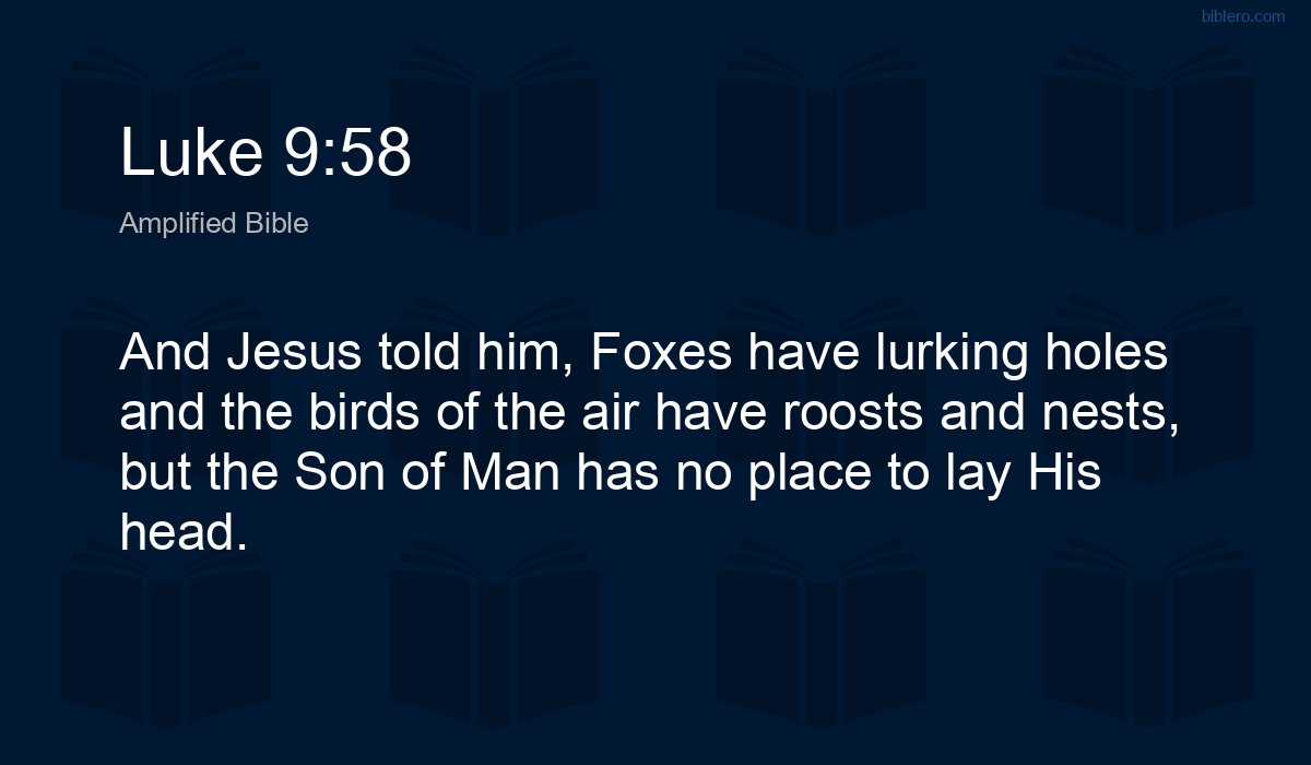 Luke 9:58 AMP - And Jesus told him, Foxes have lurking - Biblero